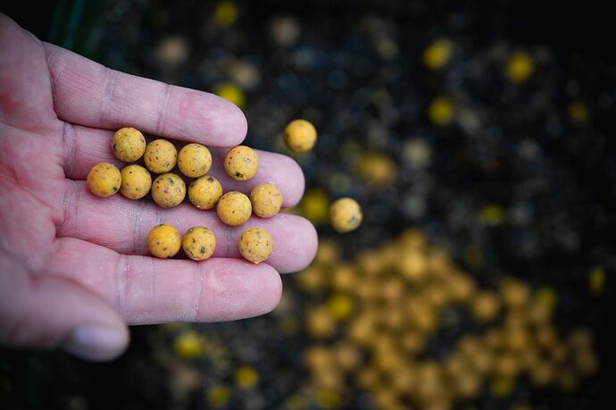 10mm-boilies-in-mix-1024x682