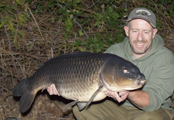 honest-carpy-blogger