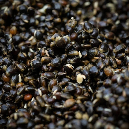 hemp-seed-for-fishing-2048x2048