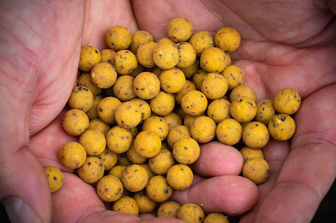 10mm-boilies-in-hand