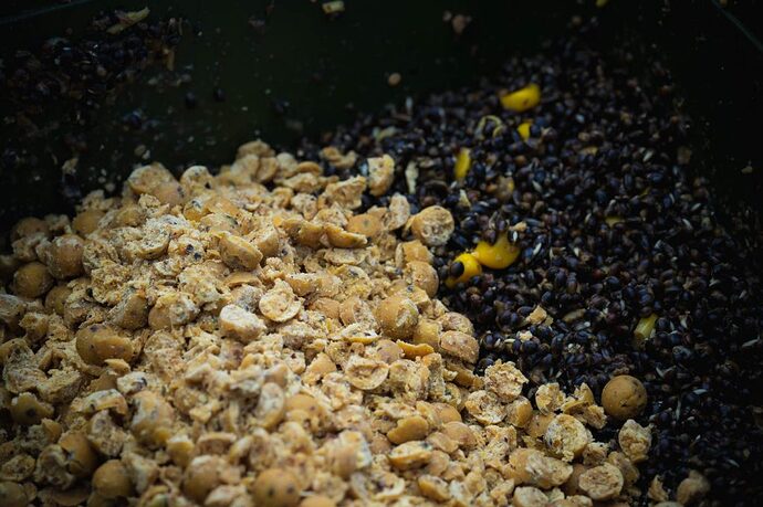 10mm-boilies-in-mix-3-1024x682