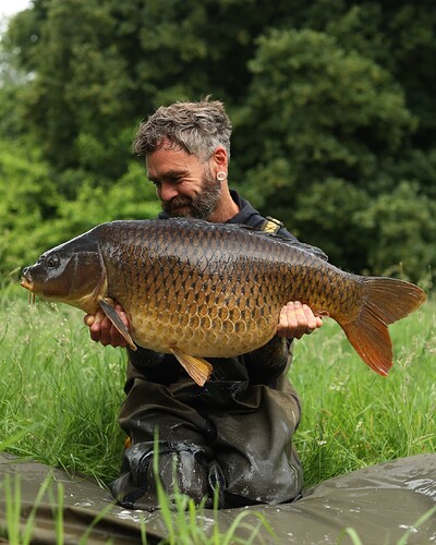 gaz-fareham-common-1